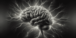 l-theanine enhances calm focus